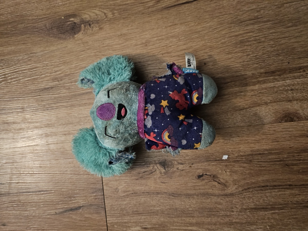 Cosmic Koala, before the inevitable