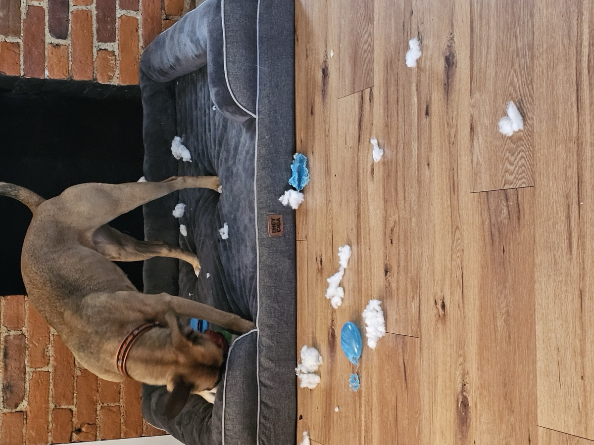 The Blue One, scene of crime